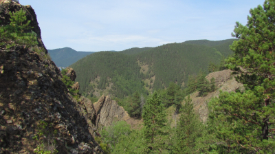 Битва за байкальский лес: сплошные рубки и границы экологической безопасности